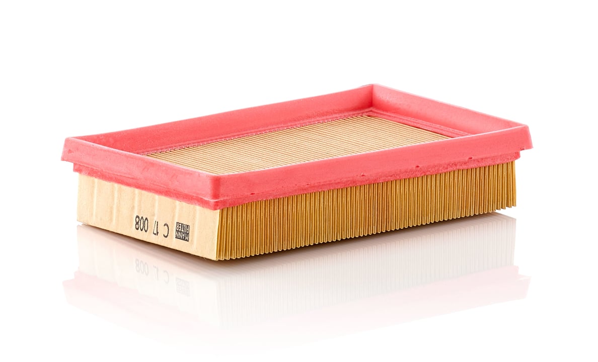C17008 Mann-Filter Air filter