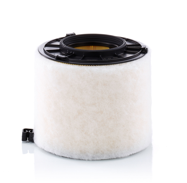 Mann-Filter C 17 010 Air filter C17010 C17010 Mann-Filter Air filter
