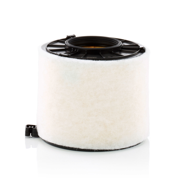 C17011 Mann-Filter Air filter