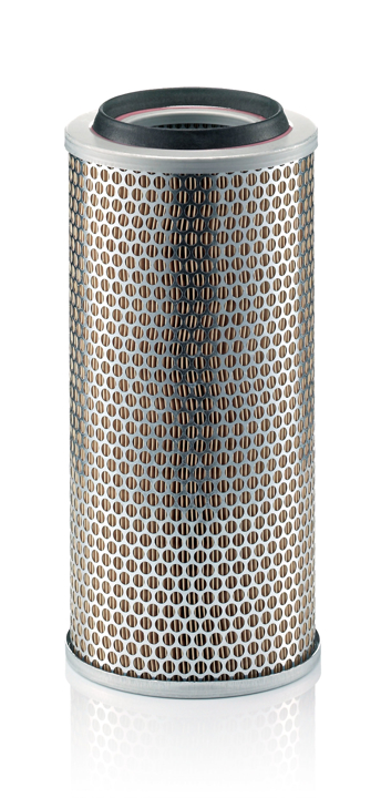 Car air filter Iveco: C172253 Mann-Filter Air filter