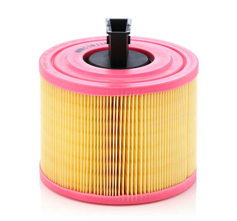 Mann-Filter C 18 114 Air filter C18114 C18114 Mann-Filter Air filter