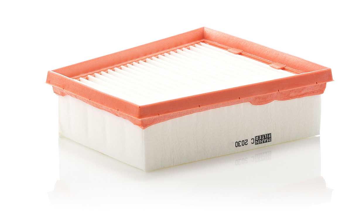Mann-Filter C 2030 Air filter C2030 C2030 Mann-Filter Air filter