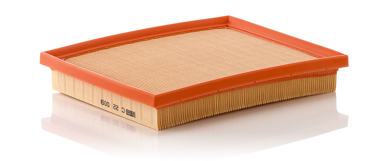 Mann-Filter C 22 009 Air filter C22009 C22009 Mann-Filter Air filter