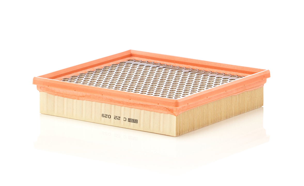Mann-Filter C 22 029 Air filter C22029 C22029 Mann-Filter Air filter