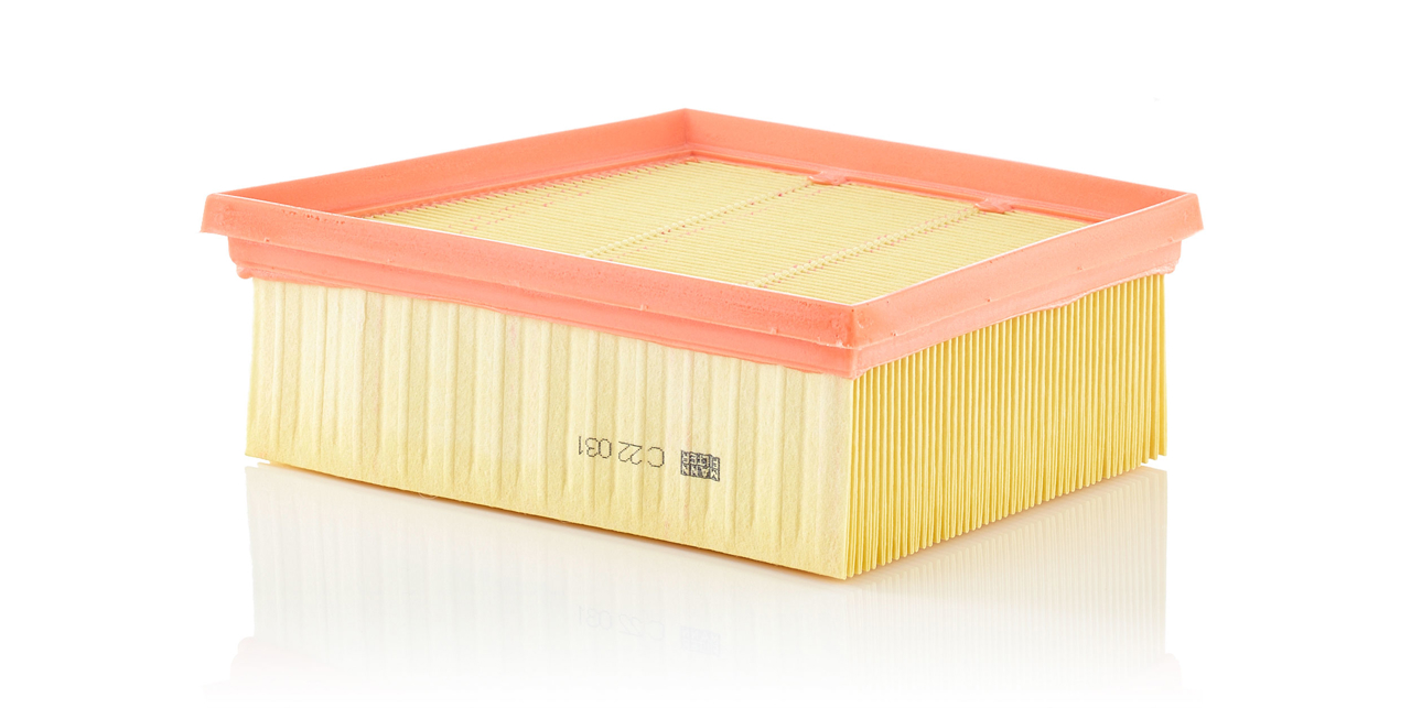 Mann-Filter C 22 031 Air filter C22031 C22031 Mann-Filter Air filter