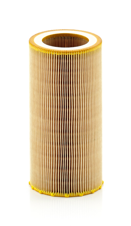 Air filter Nissan: C10050 Mann-Filter Air filter