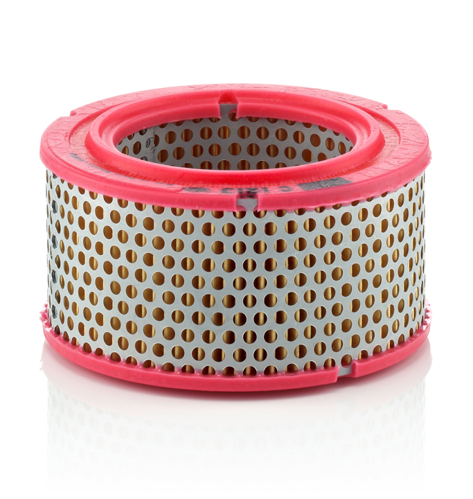C1213 Mann-Filter Air filter