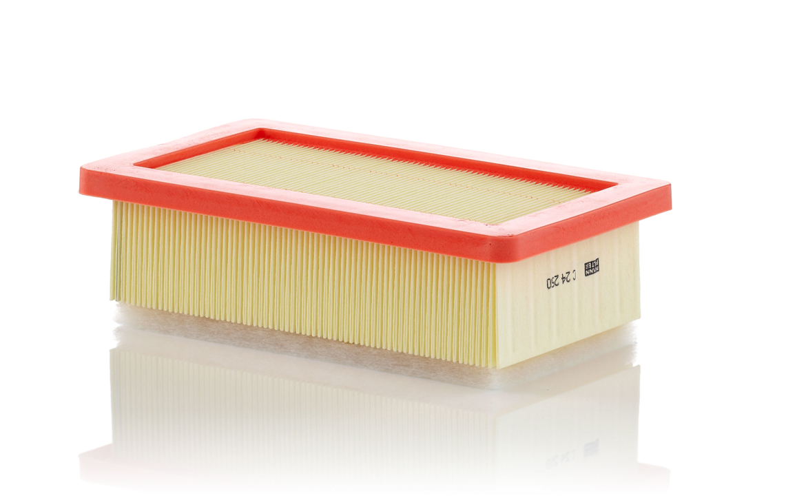 Mann-Filter C 24 250 Air filter C24250 C24250 Mann-Filter Air filter