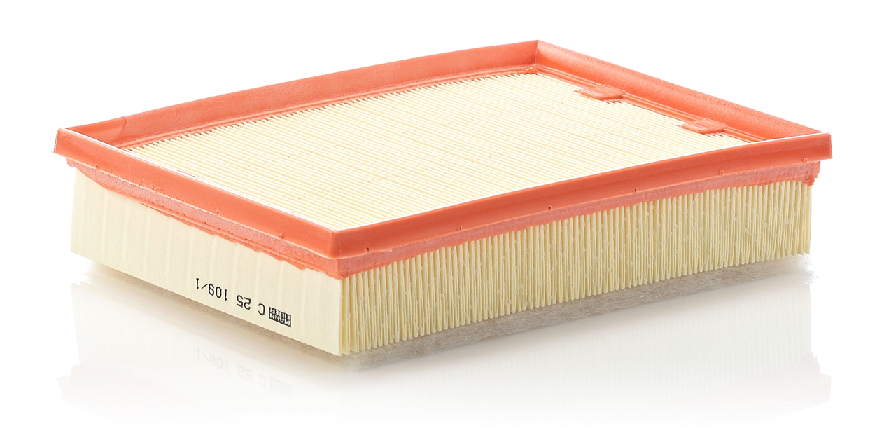 Mann-Filter C 25 109/1 Air filter C251091 C251091 Mann-Filter Air filter