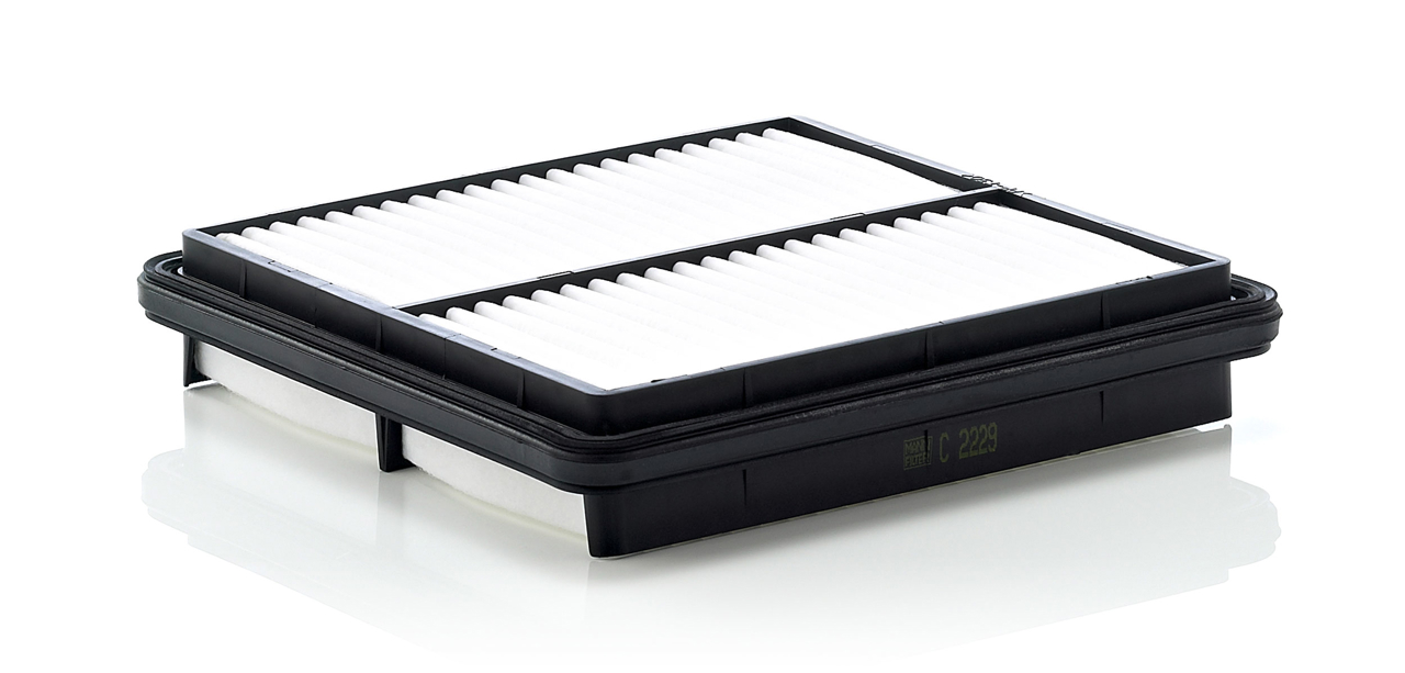 Air filter Chery: C2229 Mann-Filter Air filter