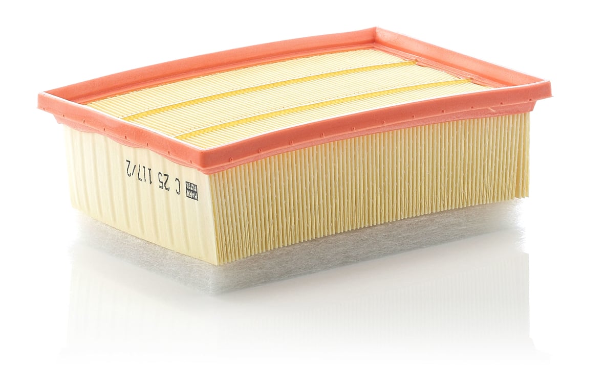 Mann-Filter C 25 117/2 Air filter C251172 C251172 Mann-Filter Air filter