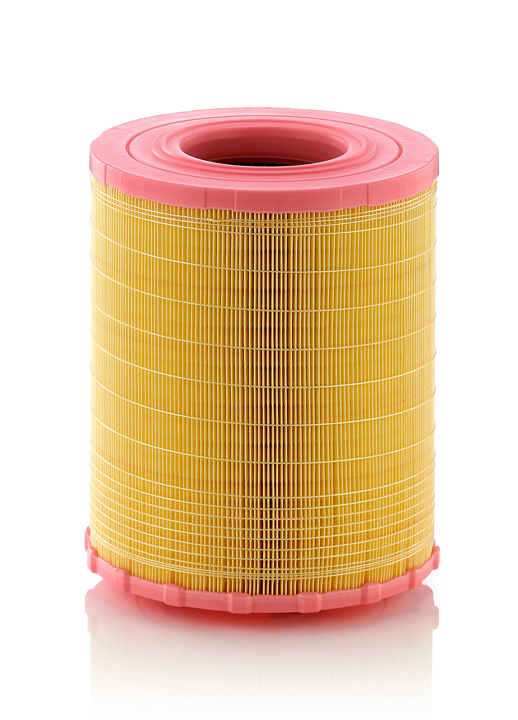 Air filter Mercedes: C29010 Mann-Filter Air filter