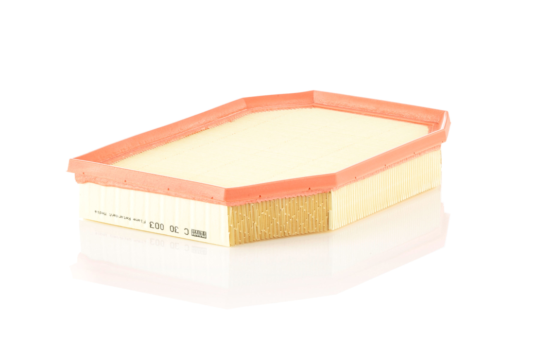 Mann-Filter C 30 003 Air filter C30003 C30003 Mann-Filter Air filter