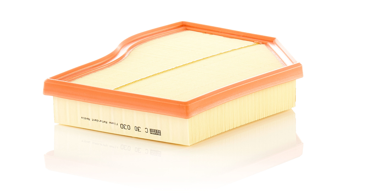 Mann-Filter C 30 030 Air filter C30030 C30030 Mann-Filter Air filter