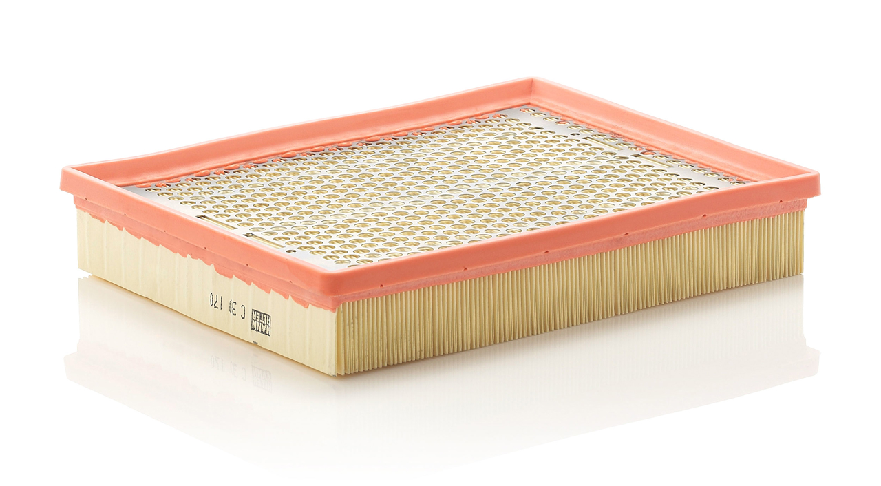 Mann-Filter C 30 170 Air filter C30170 C30170 Mann-Filter Air filter