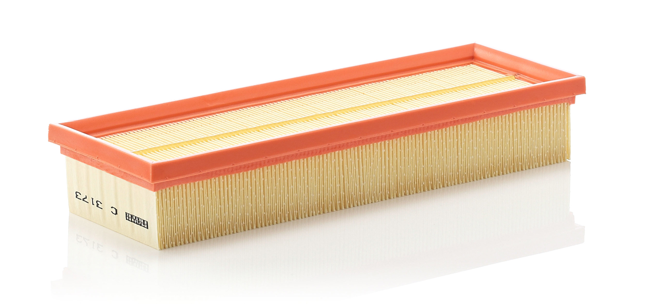 Mann-Filter C 3173 Air filter C3173 C3173 Mann-Filter Air filter