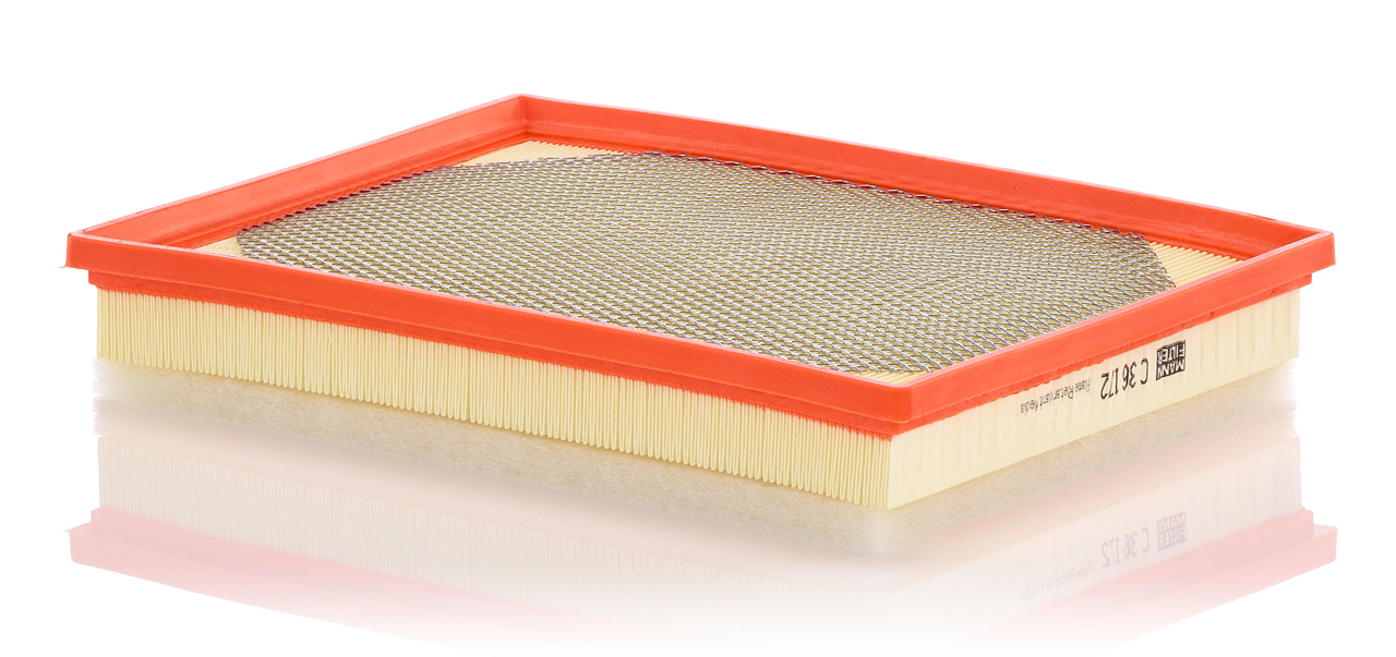 Air filter Renault Master Pro: C36172 Mann-Filter Air filter