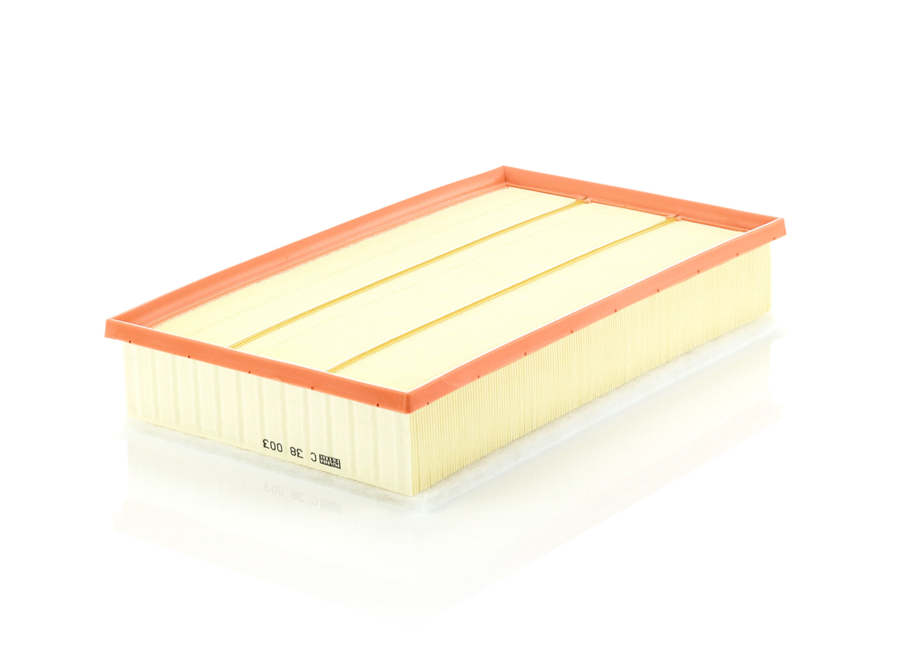 Mann-Filter C 38 003 Air filter C38003 C38003 Mann-Filter Air filter