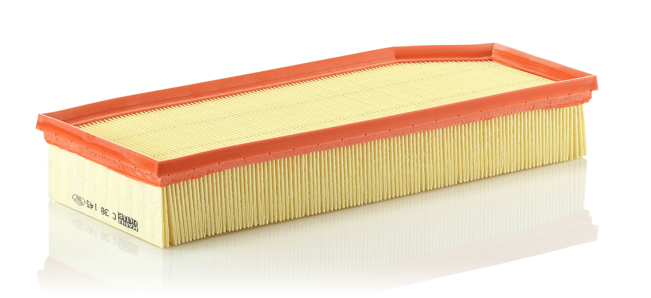 Mann-Filter C 38 145 Air filter C38145 C38145 Mann-Filter Air filter