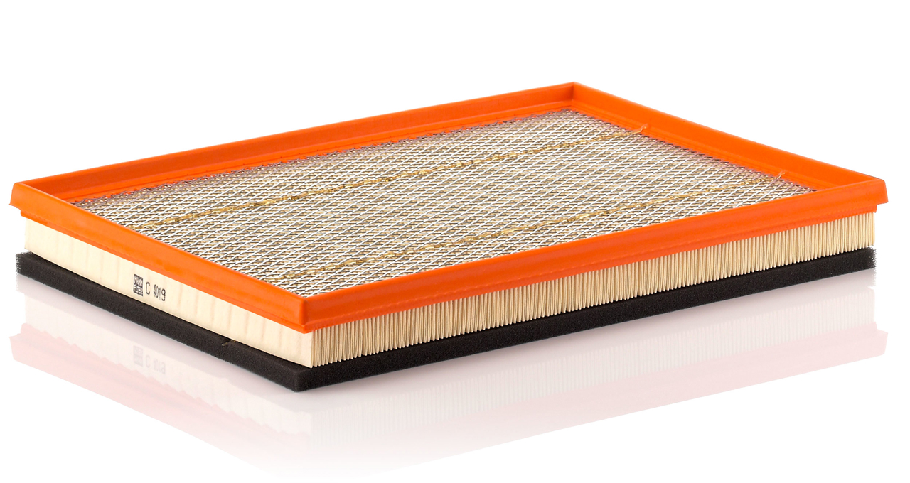 Mann-Filter C 4019 Air filter C4019 C4019 Mann-Filter Air filter
