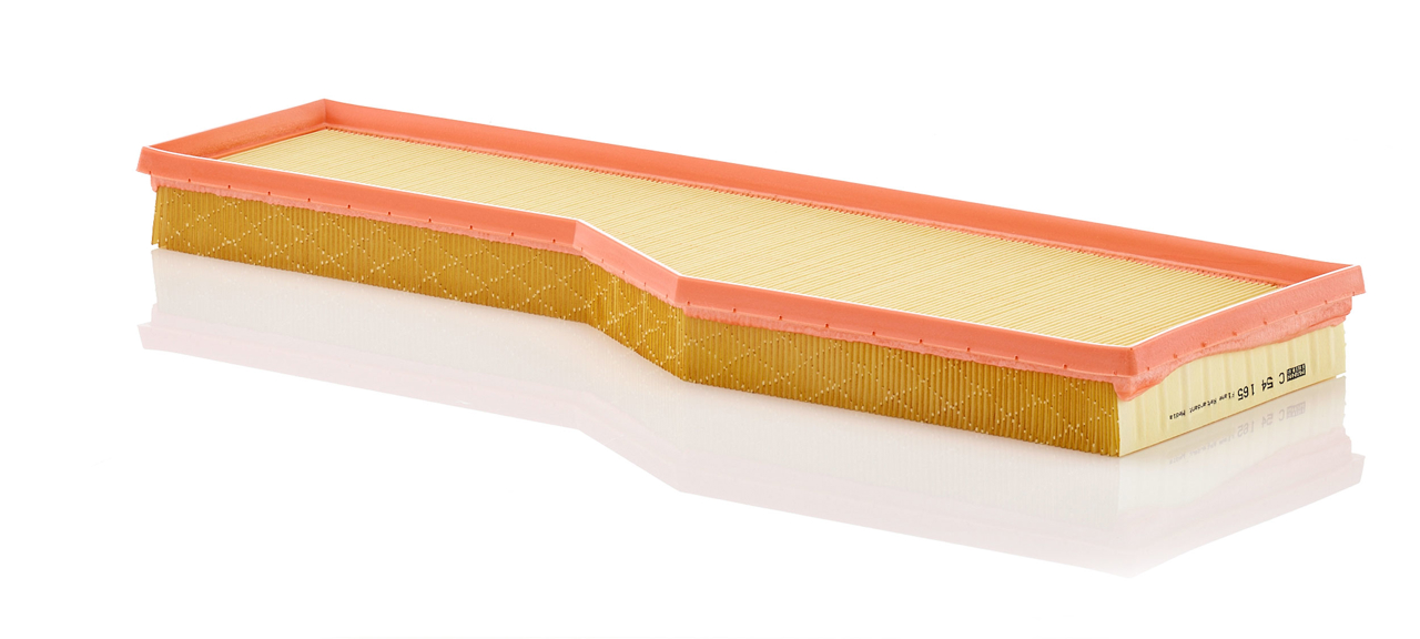 Air filter Porsche: C54165 Mann-Filter Air filter