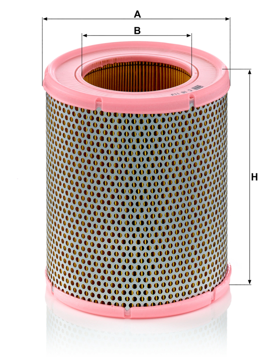 Buy Mann-Filter C 16 113 at a low price in United Arab Emirates!