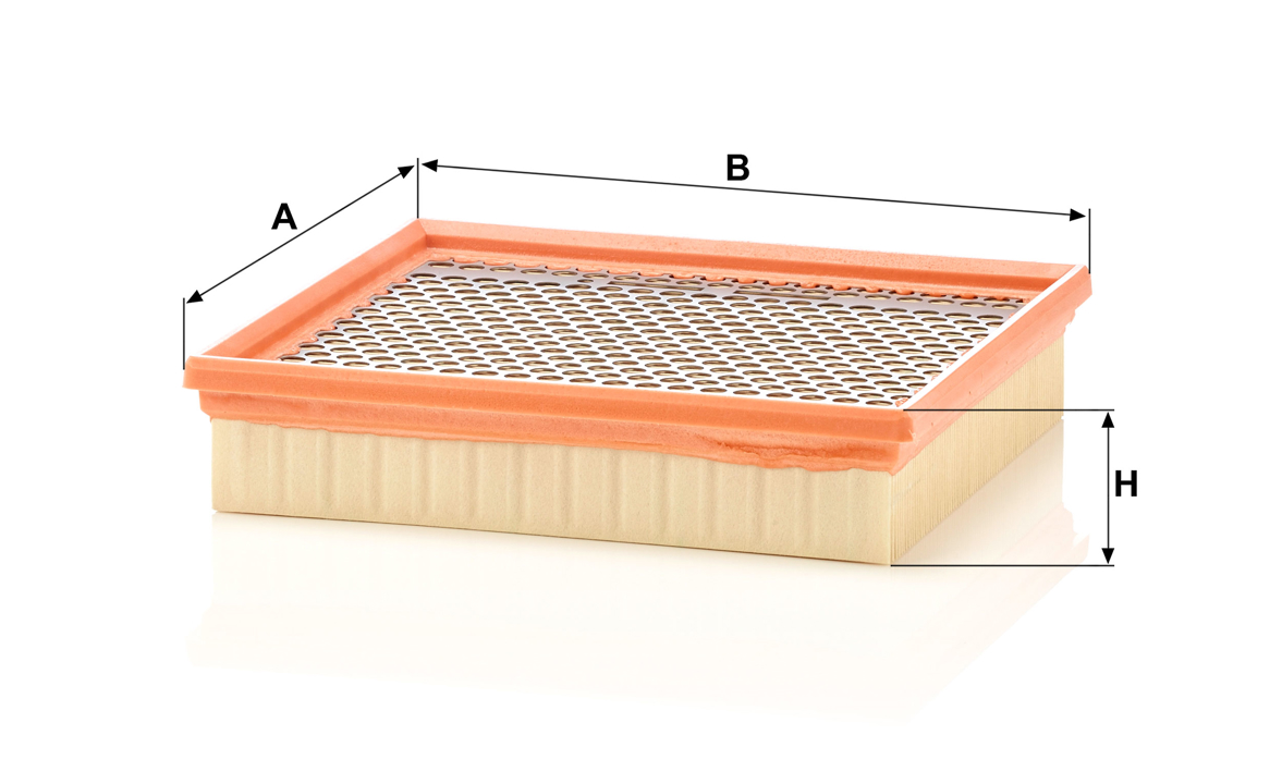 Buy Mann-Filter C 22 029 at a low price in United Arab Emirates!