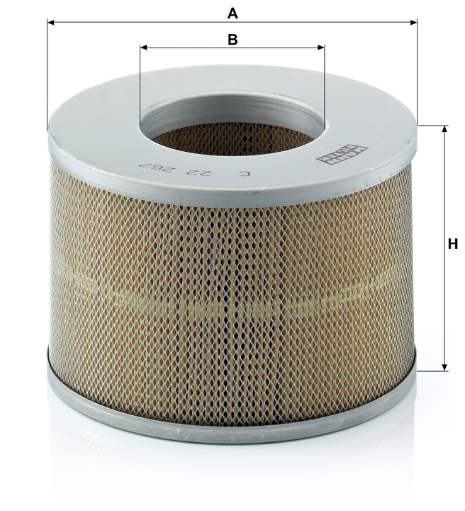 Buy Mann-Filter C 22 267 at a low price in United Arab Emirates!