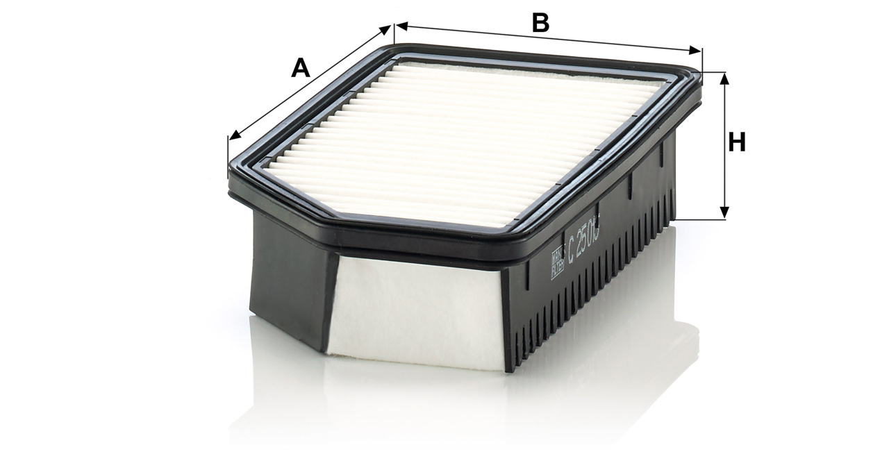 Buy Mann-Filter C 25 013 at a low price in United Arab Emirates!