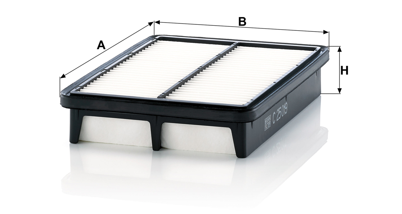 Buy Mann-Filter C 25 019 at a low price in United Arab Emirates!