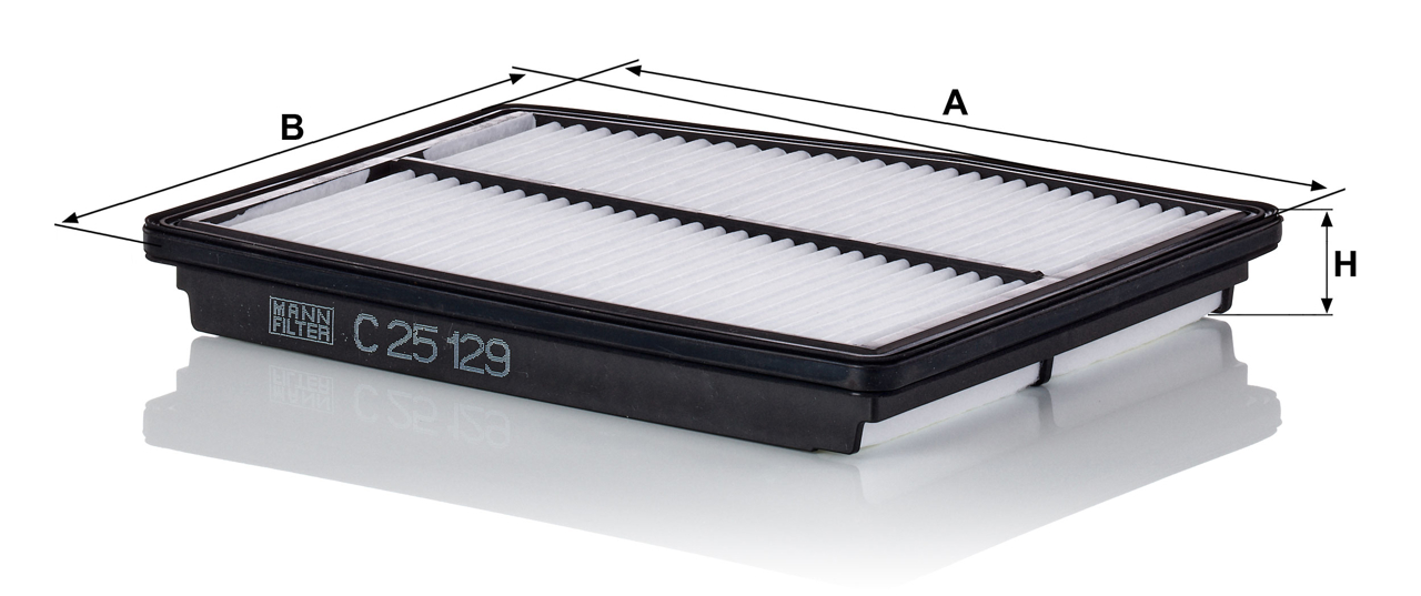 Buy Mann-Filter C 25 129 at a low price in United Arab Emirates!