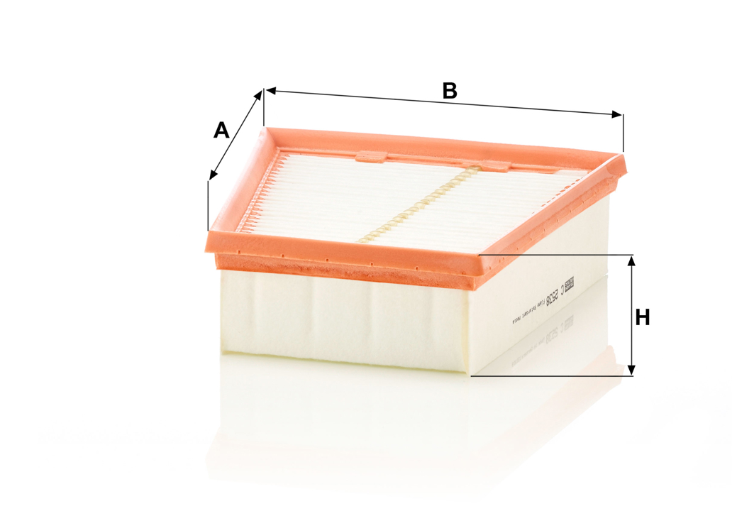 Buy Mann-Filter C 2538 at a low price in United Arab Emirates!