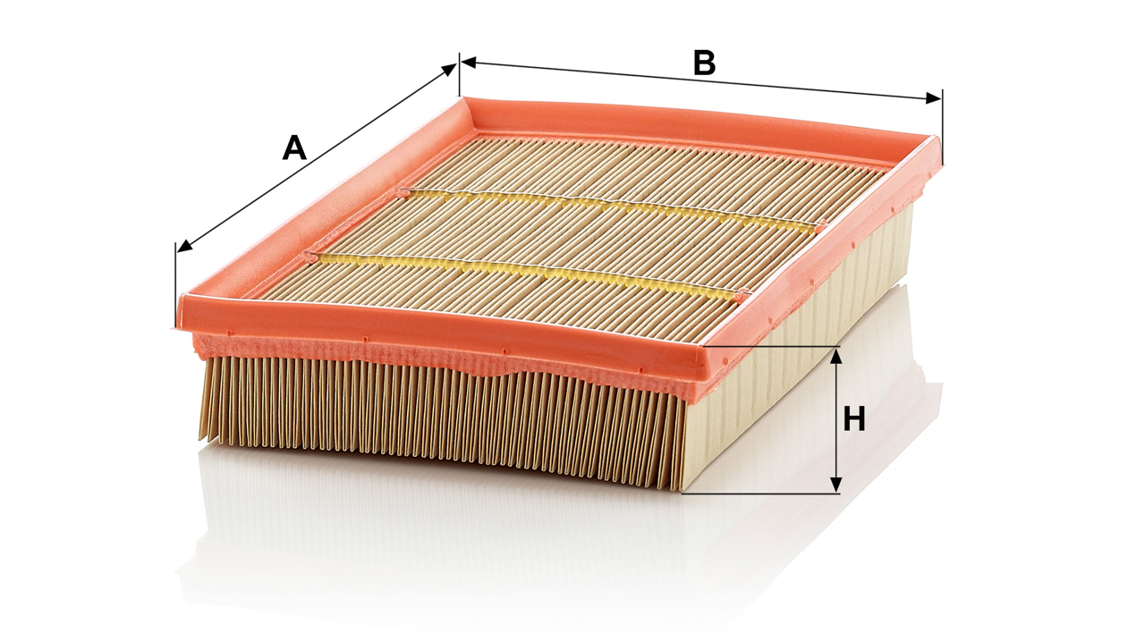 Buy Mann-Filter C 2589 at a low price in United Arab Emirates!