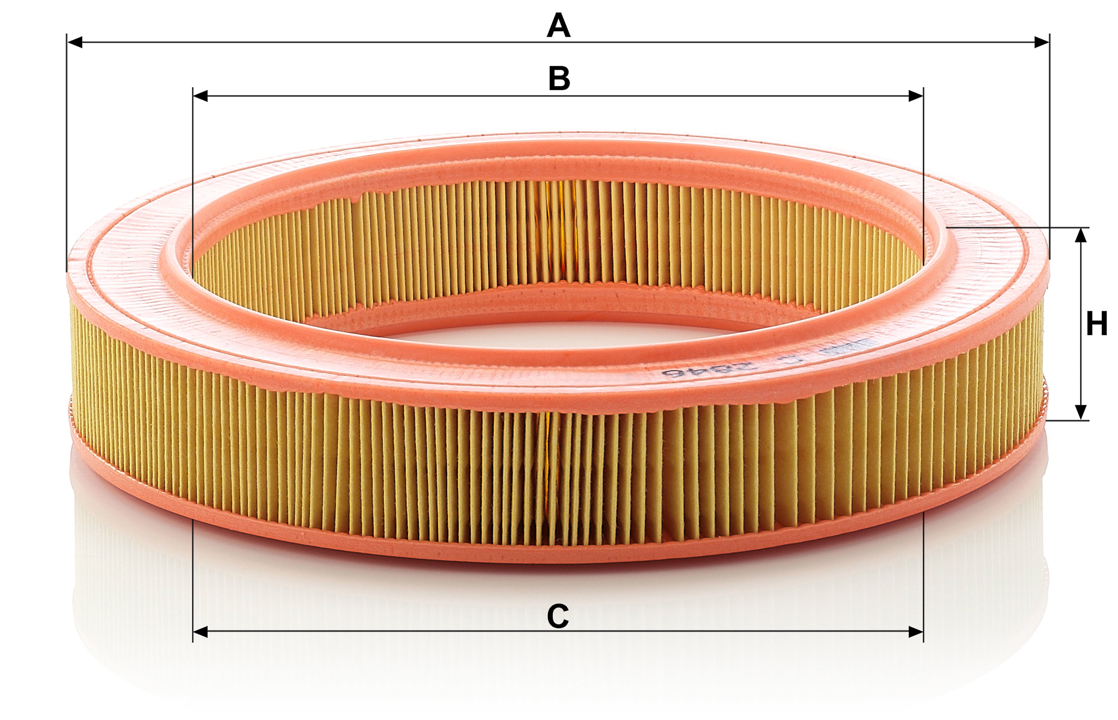 Buy Mann-Filter C 2846 at a low price in United Arab Emirates!