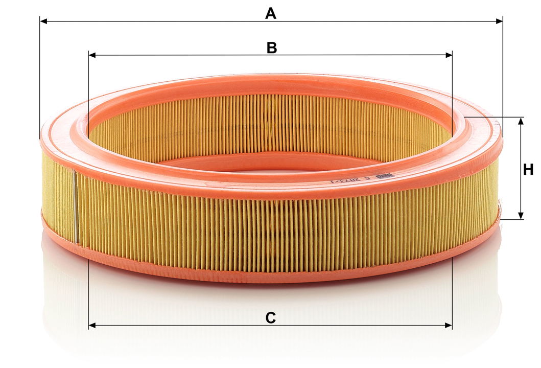 Buy Mann-Filter C 2873/1 at a low price in United Arab Emirates!