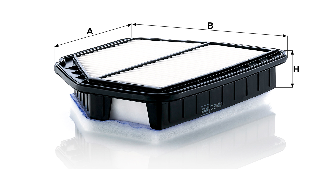 Buy Mann-Filter C 30 012 at a low price in United Arab Emirates!