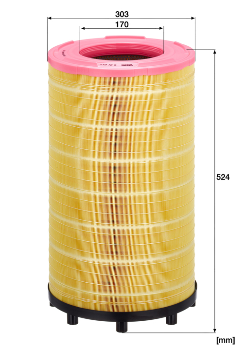 Buy Mann-Filter C 31 017 at a low price in United Arab Emirates!
