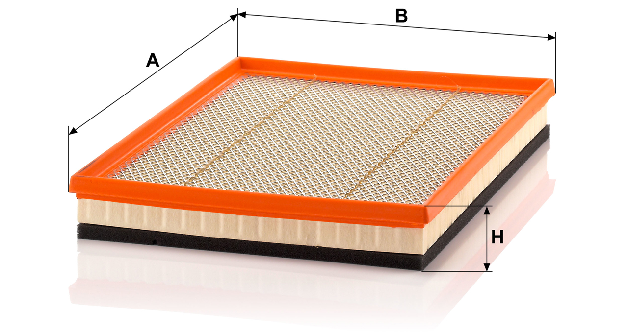 Buy Mann-Filter C 4019 at a low price in United Arab Emirates!