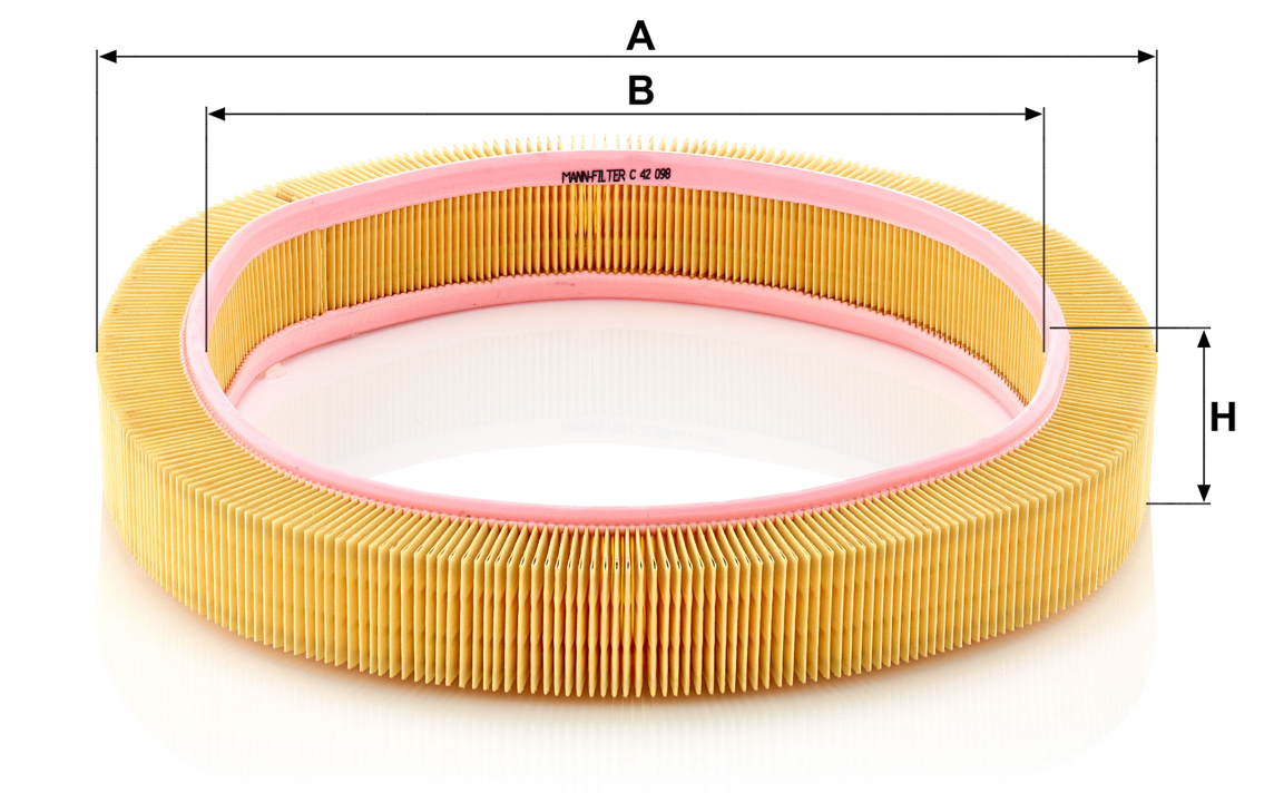 Buy Mann-Filter C 42 098 at a low price in United Arab Emirates!