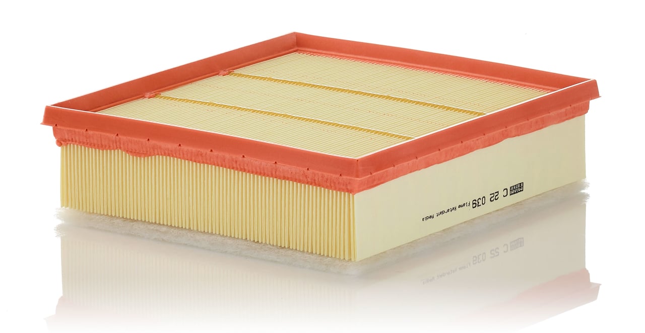 Air filter Dodge: C22039 Mann-Filter Air filter
