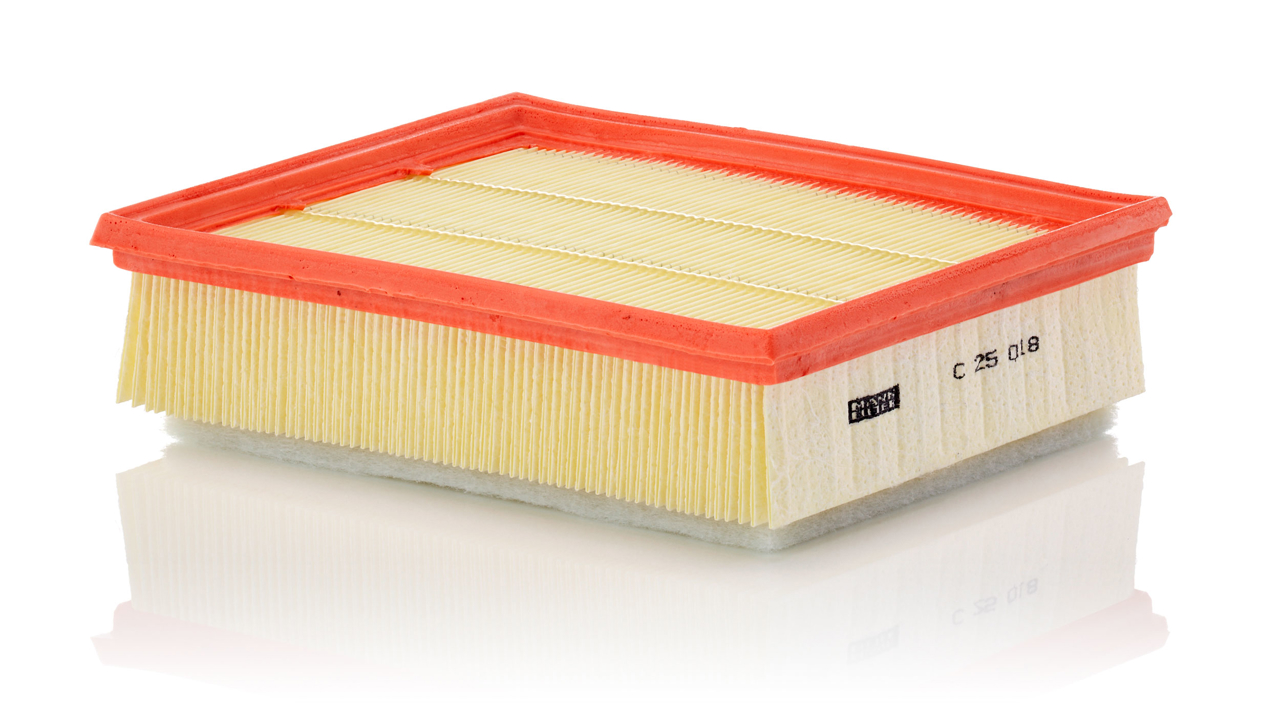Air filter Holden: C25018 Mann-Filter Air filter