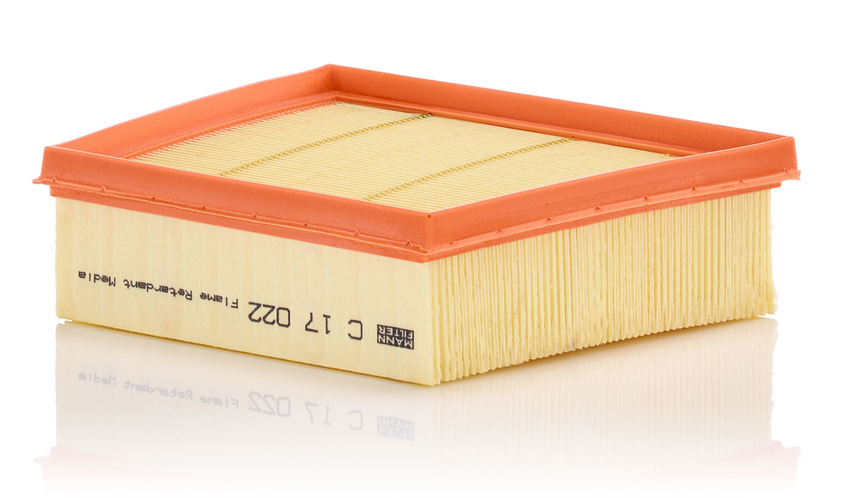 Mann-Filter C 17 022 Air filter C17022 C17022 Mann-Filter Air filter