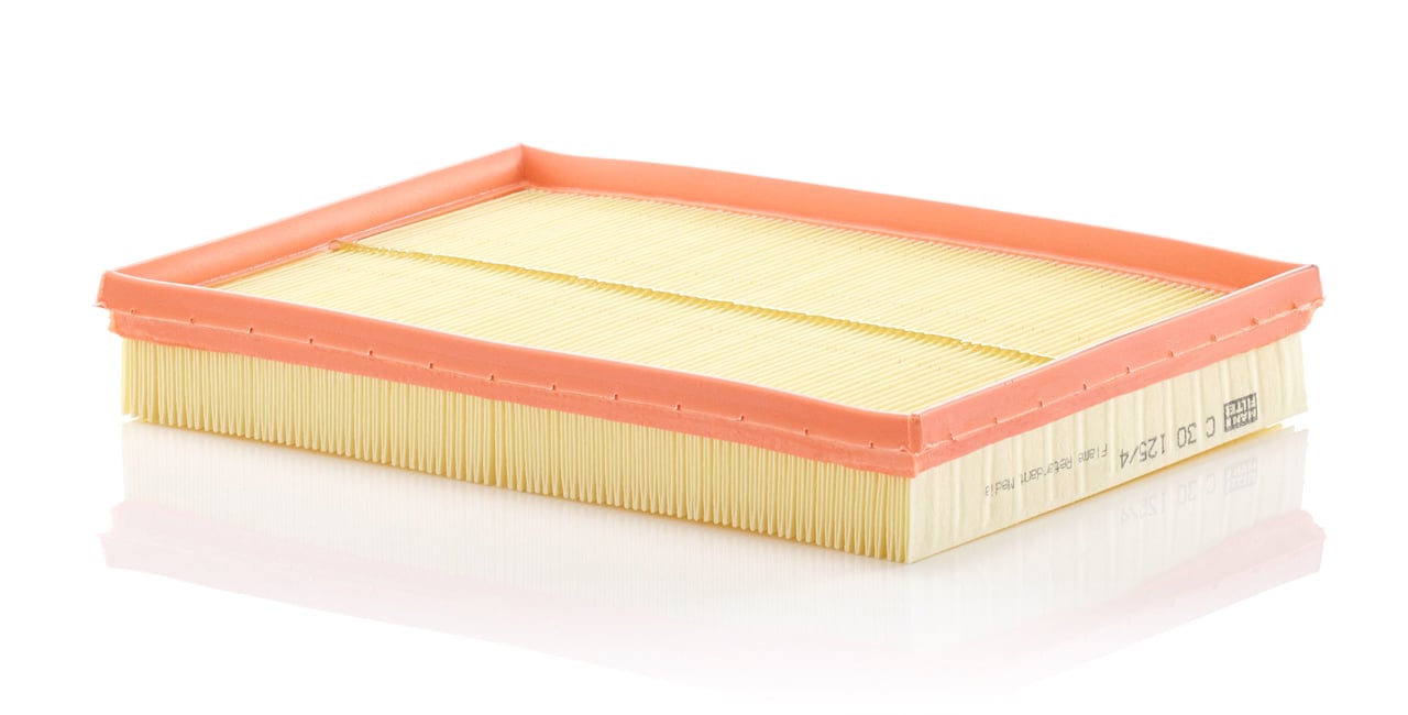 Air filter Holden: C301254 Mann-Filter Air filter