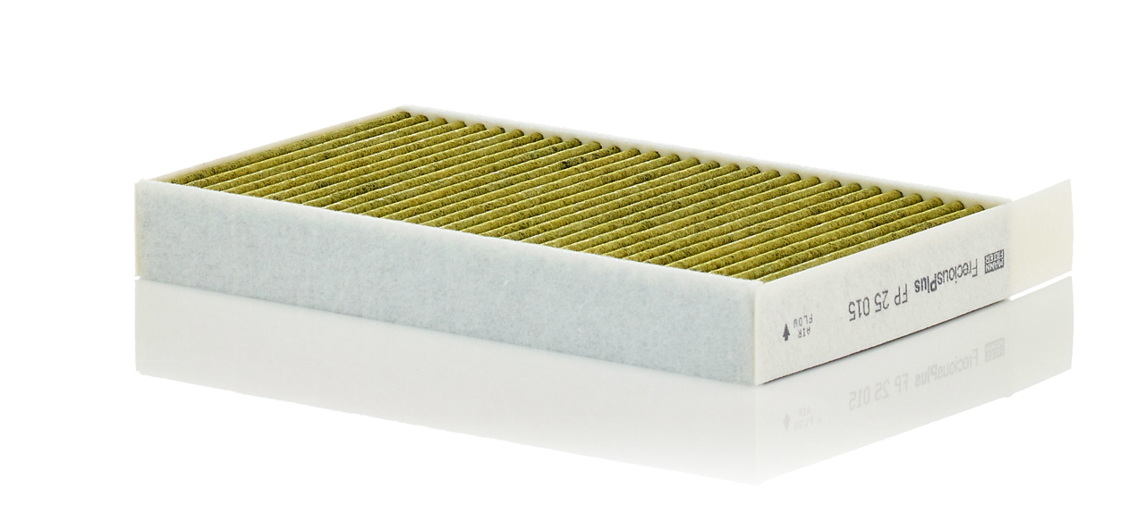 Air conditioning filter Tesla Model 3: FP25015 Mann-Filter Cabin filter