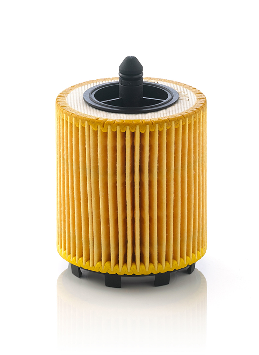 Buy Mann-Filter HU 6007 X at a low price in United Arab Emirates!