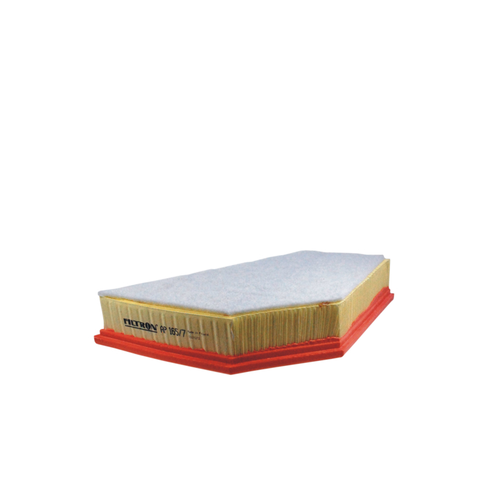 Filtron AP 165/7 Air filter AP1657 AP1657 Filtron Air filter