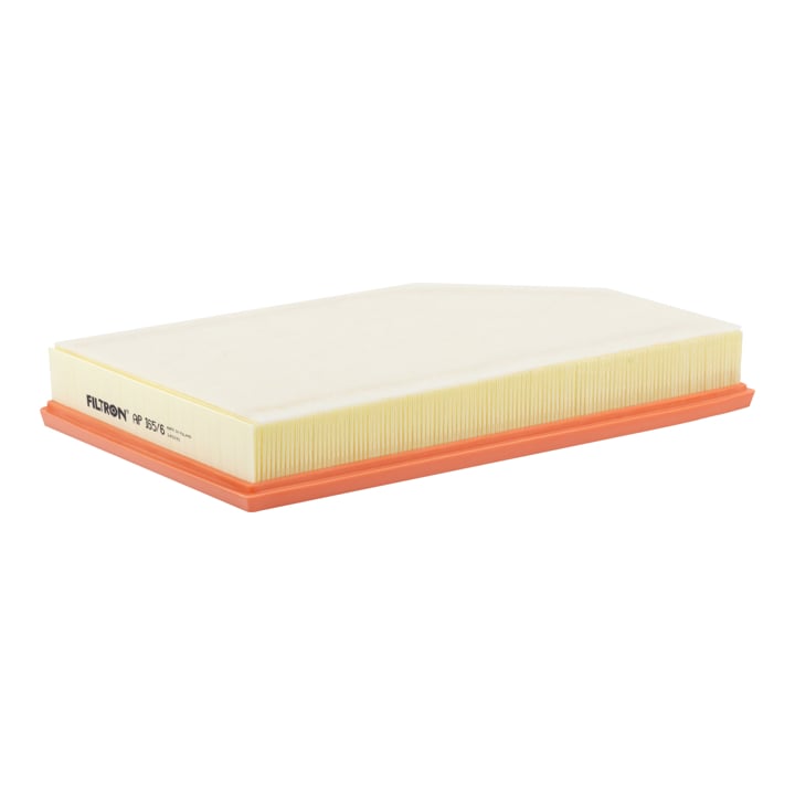 AP1656 Filtron Air filter