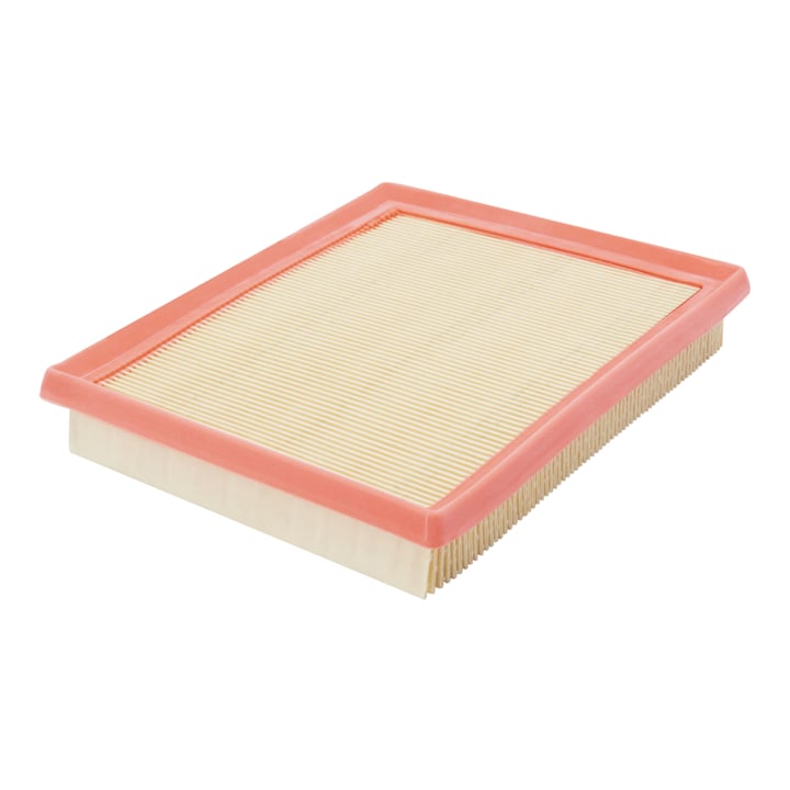 AP1703 Filtron Air filter