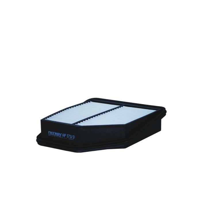 Filtron AP 173/3 Air filter AP1733 AP1733 Filtron Air filter
