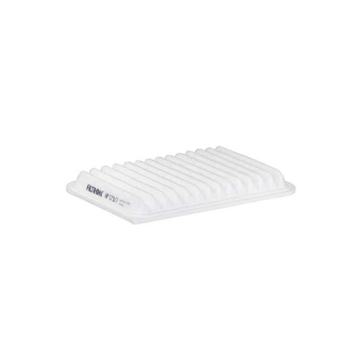 Filtron AP 173/7 Air filter AP1737 AP1737 Filtron Air filter